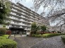 完成物件だから、引っ越したあとの配置や動線も分かりやすい。
