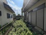 そんなに大きくはないけれど、お庭が持てるのが持家の魅力。
