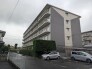 幹線道路から１本入った現地は、想像以上に静かに感じられます。
