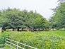 近くの公園 50m