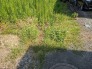 敷地への入り口