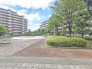 マンション敷地内庭