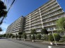 車通りの少ない閑静な住宅地、のびのびした子育てに適します。
