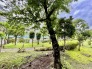 前面の住まいとの距離感があるから、圧迫感を感じません。
