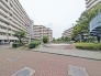 中庭