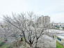 閑静な住宅地で叶える、穏やかな新生活が待ってます。
