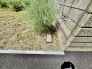 閑静な住宅地