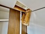 増え続ける荷物も小屋裏収納（グルニエ）が強い味方に。
