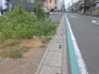 現地土地写真