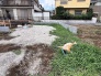 8号棟 戸建てならではのお庭スペース。BBQやガーデニング、お子様のプールなど、、、、様々な楽しみ方ができるプライベート空間。ご家族皆さままで思いっきりお楽しみください。
 2026/07/27m