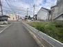 1号地 