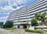 当日ご案内可能です！物件だけでなく、周辺の環境や他にご希望の物件もまとめてご案内可能です。
