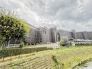 緑も多く長閑な街並みです。