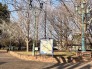 マンション道路挟んだ向かいには大きな公園もあり、お子様のいるご家庭は嬉しいですね。 80m