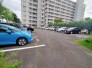 ゆとりあるスペースが確保された敷地内駐車場は駐車がしやすく日々の暮らしをスムーズに支えてくれます
