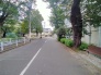 豊かな緑と落ち着いた街並みに寄り添う前面道路は、穏やかな日常の時間を育む心地よい空間が広がっています

