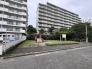 近くの公園 20m