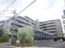 完成物件だから、引っ越したあとの配置や動線も分かりやすい。
