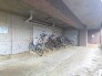 敷地内に屋根付きの駐輪場あり。