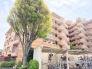 戸建てが立ち並ぶ静かな住宅街。四季折々の移り変わりを感じながら自然と楽しみ、暮らす、そんな毎日を日々の中で感じられる住環境
