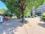 周辺の街並み 10m
