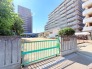 保育園 50m