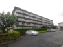 豊かな緑と調和する穏やかな佇まい。マンション敷地内に駐車場を完備しており、日々の暮らしに落ち着いた利便性と安心感をもたらしてくれる住環境です
