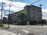 完成物件だから、引っ越したあとの配置や動線も分かりやすい。

