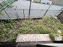 戸建てならではのお庭スペース。シンボルツリーのハナミズキの木の花が印象的です。
