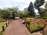 中庭