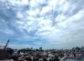 住戸からの眺望写真