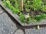 その他現地