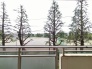 住戸からの眺望写真