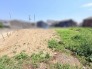 空を広く仰ぎ、静かな環境の中に描かれるこれからの暮らしの拠点です。