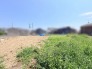 空が広く見渡せる開放的な環境で、心穏やかに過ごすための暮らしの構想が膨らむ広々とした土地です。