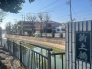 小径の横を流れる小川です。