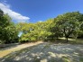 キャンベルタウン野鳥の森公園です。休日には、子供たちやファミリーの声が響いています。 600m