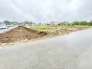 空が広く見渡せる開放的な環境で、穏やかな時間が流れるのどかな風景が広がっています。