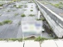 自由な発想で理想の住まいを叶えるための、すっきりと整えられた広々とした空間です。