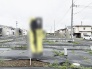 周辺環境と調和する整った区画で、新しい暮らしの構想を自由に描けるゆとりある土地です。