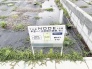 80号地 