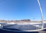 80号地  2025/02/27m