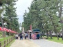 【草加松原夢祭り】の様子です。松並木が提灯でライトアップされる幻想的な雰囲気の夏祭りです。