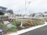 新しい暮らしの始まりを感じさせる、これからの工程が楽しみになるような区画です。