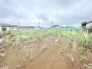 空が大きく広がり心地よい開放感に包まれた穏やかな更地です
