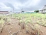 周辺環境の穏やかな空気が流れる開放感のある敷地はこれからの暮らしを描くキャンバスのようです