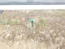 都市ガス引込み済み