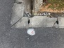 道路境界杭