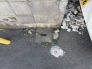 道路境界杭
