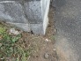 隣地境界杭